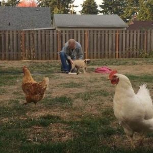 Meet your Posher, Odd